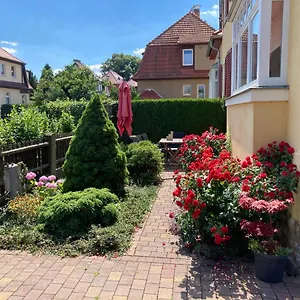 Hohaus Dresden